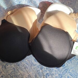 Fruit of the Loom Black and Beige Bra Set